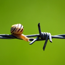Connecting suppliers biggest obstacle to uptake of e invoicing hindernis Connecting suppliers biggest obstacle to uptake of e invoicing